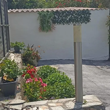 Guadalupe * Тагле