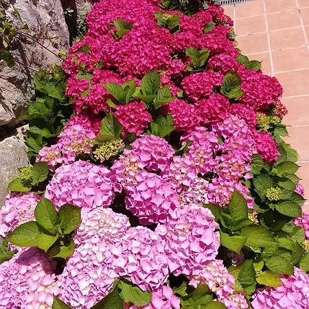 Guadalupe Apartamento *