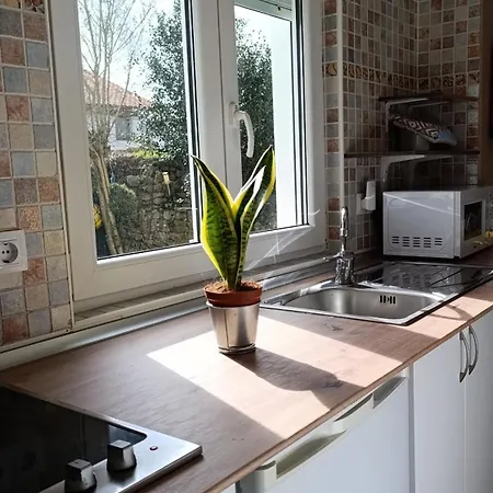 Lejlighed Guadalupe Tagle