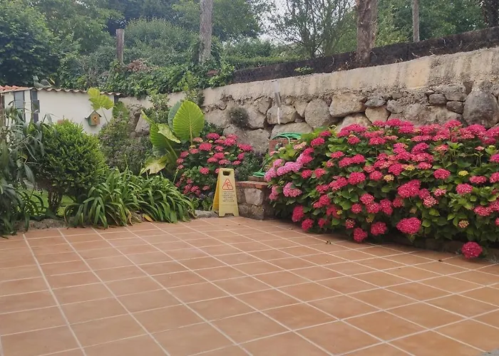 Guadalupe * Тагле