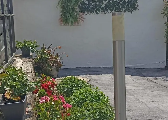 Guadalupe * Тагле